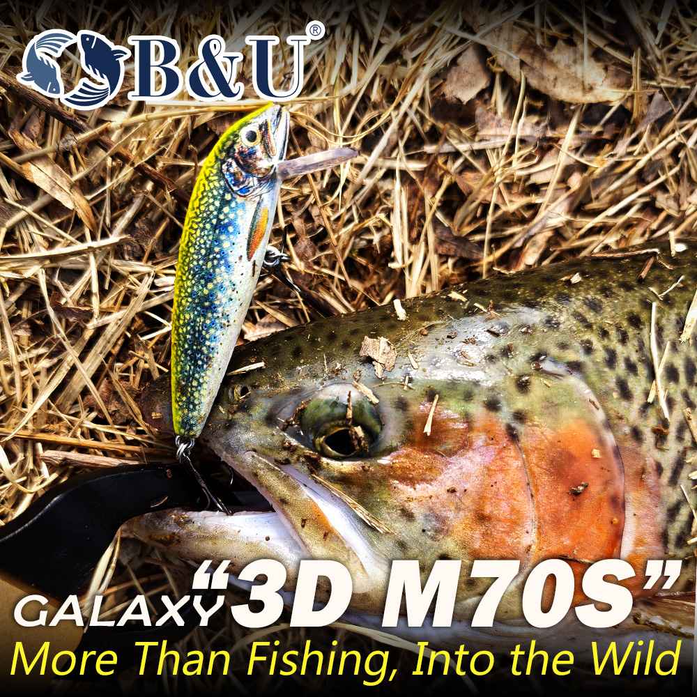 B&U Fishing Lures Sinking Minn - Saltwater Fishing Hook recension och pris