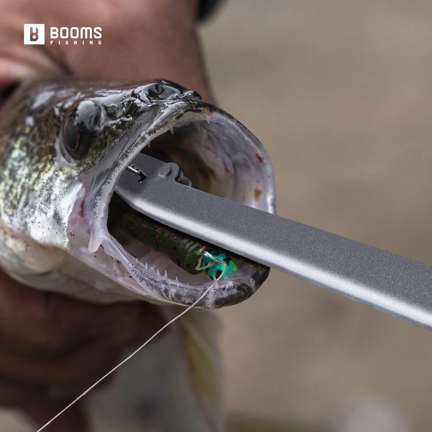 Booms Fishing 25cm Carbon Stee - Saltwater Fishing Hook recension och pris